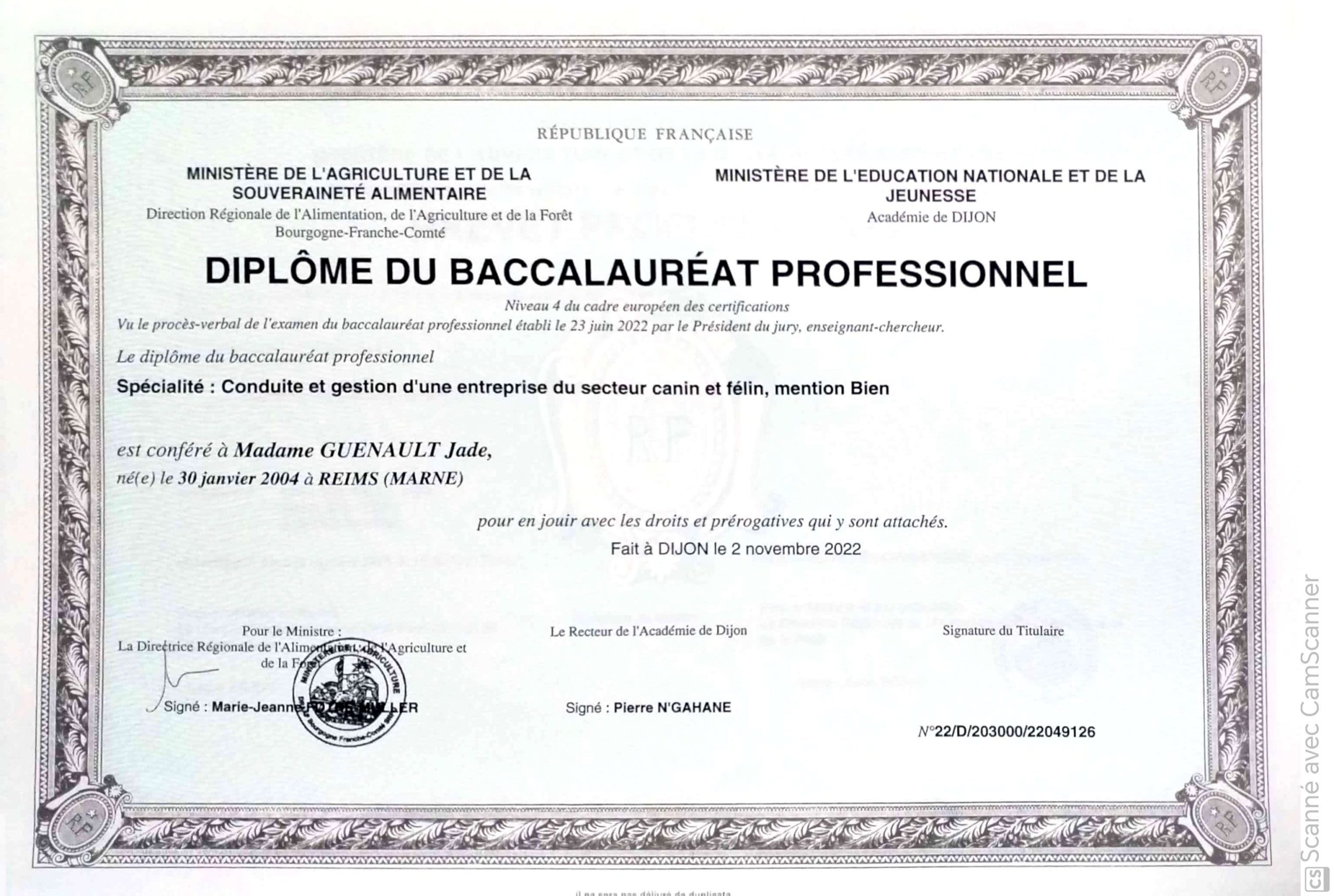 Bac Pro CGEA, secteur canin & félin