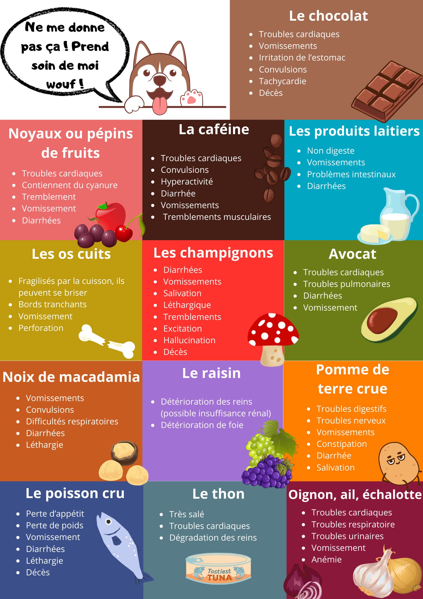 Mémo visuel récapitulant les aliments dangereux pour le chien et leurs symptômes